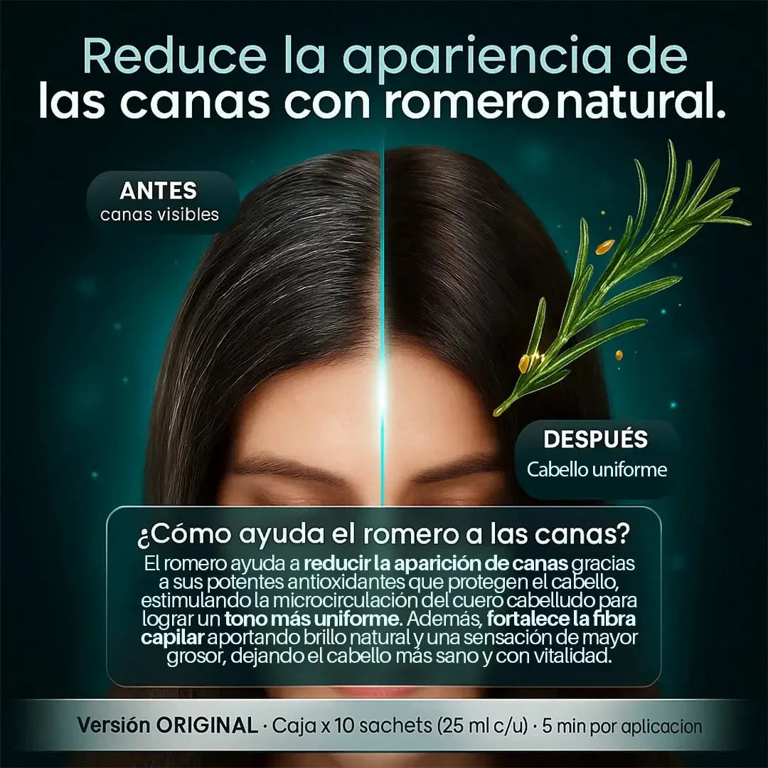 Shampoo para Canas con Romero – ORIGINAL - Perú Innovat