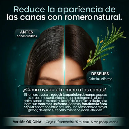 Shampoo para Canas con Romero – ORIGINAL - Perú Innovat