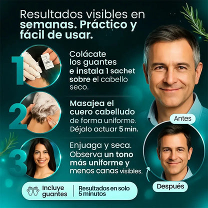 Shampoo para Canas con Romero – ORIGINAL - Perú Innovat